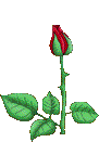BULGARIA